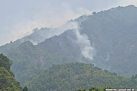 Huyện Phong Thổ xảy ra cháy rừng tại xã Dào San và Nậm Xe