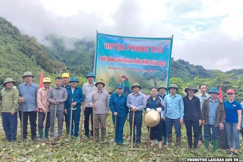 Phong Thổ đẩy mạnh công tác trồng rừng giúp người dân giảm nghèo bền vững