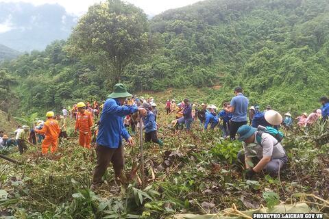 Phong Thổ tổ chức đợt 2 chiến dịch trồng cây, trồng rừng năm 2023