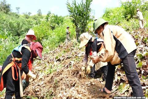 Nhân dân bản Dền Thàng tích cực học tập và làm theo Bác