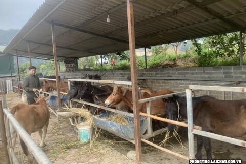Hội nông dân thị trấn Phong Thổ giúp hội viên xóa đói giảm nghèo