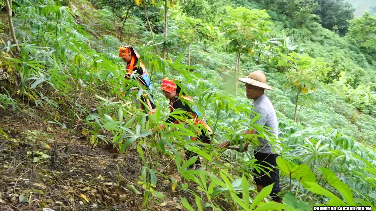 Ma Li Pho phát huy hiệu quả nguồn vốn tín dụng chính sách trong công tác giảm nghèo