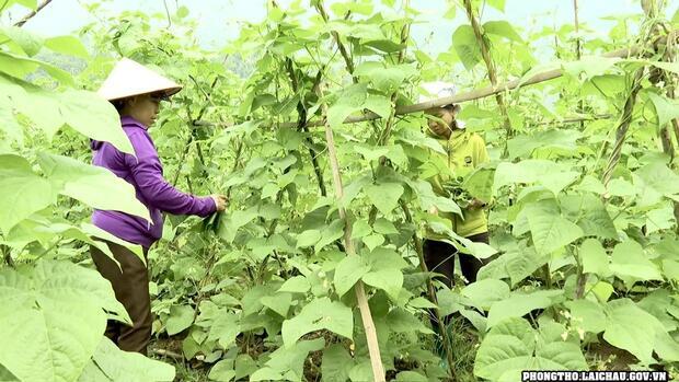 Mường So phát huy hiệu quả nguồn vốn vay từ ngân hàng chính sách xã hội